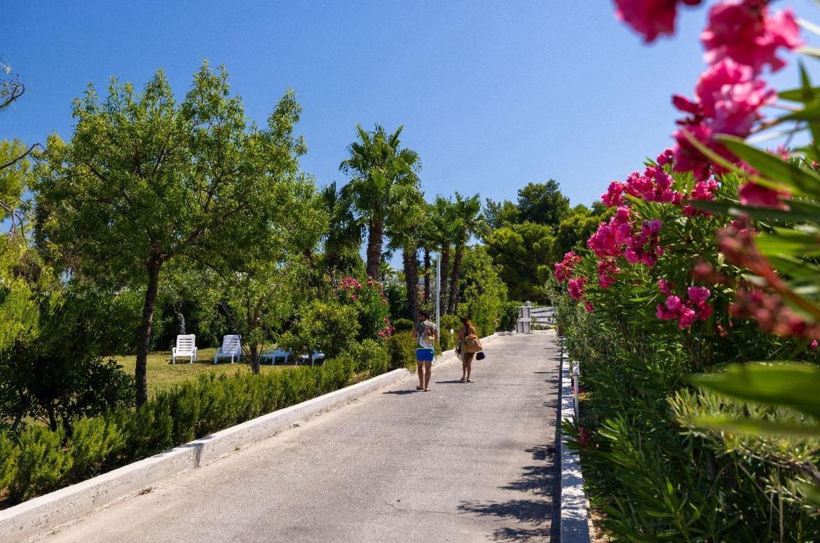 Aria Di Mare Vieste - Luxury Apartments By The Sea Eksteriør bilde