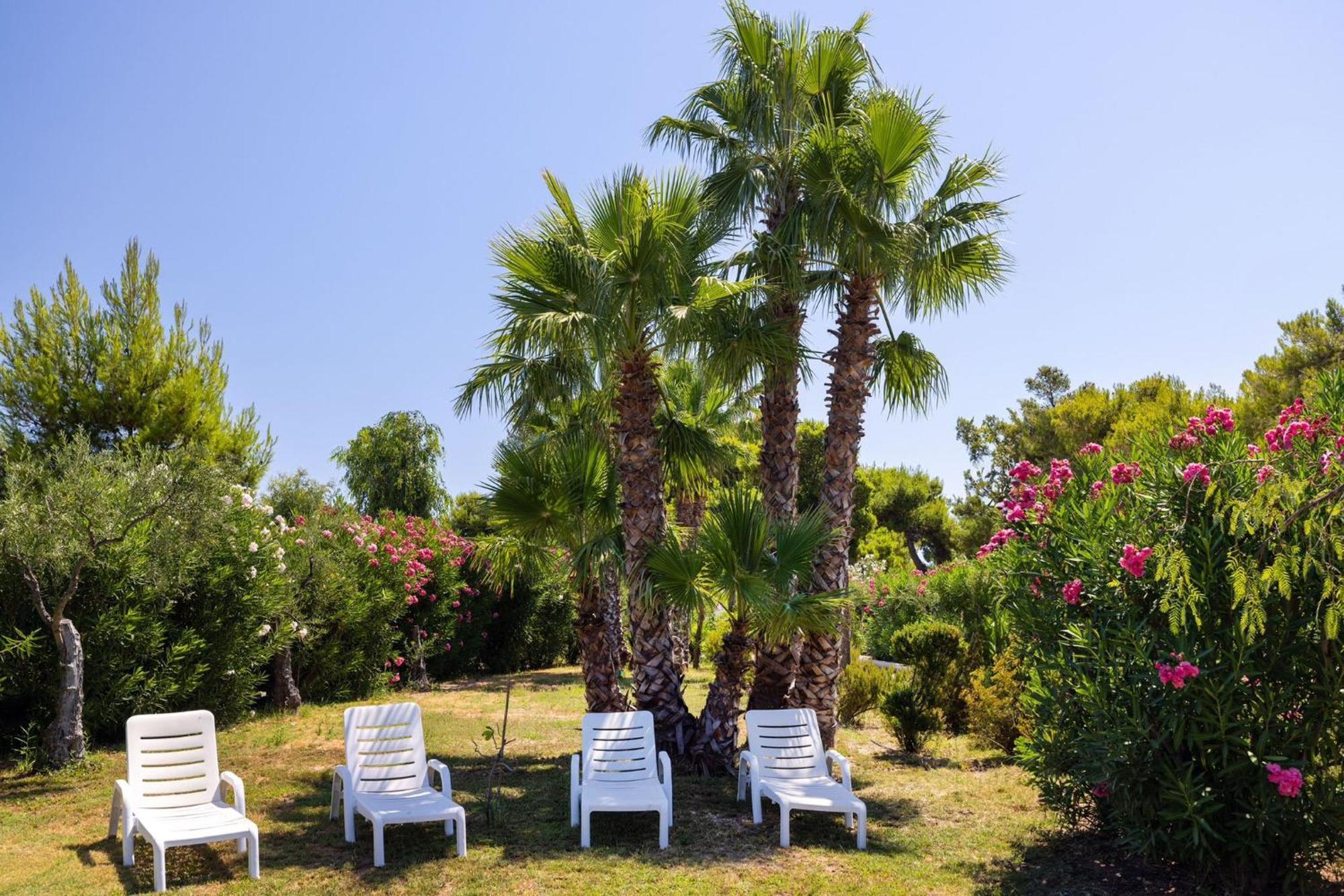 Aria Di Mare Vieste - Luxury Apartments By The Sea Eksteriør bilde